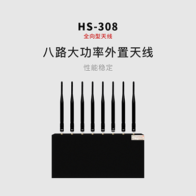 HS-308